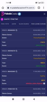 Screenshot_2025-06-23-07-41-28-041_com.android.chrome.jpg