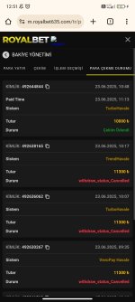 Screenshot_2025-06-23-12-51-23-520_com.android.chrome.jpg