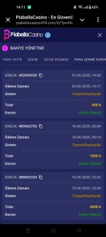 Screenshot_2025-06-23-14-11-41-89_948cd9899890cbd5c2798760b2b95377.jpg