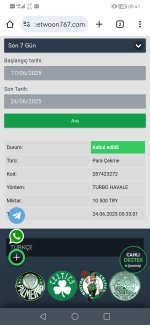 Screenshot_20250624_004138_com.android.chrome.jpg