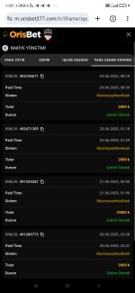 Screenshot_2025-06-25-01-28-43-264_com.android.chrome.jpg