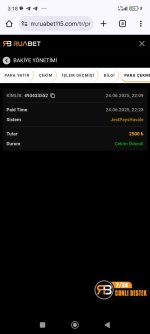 Screenshot_2025-06-25-03-18-22-908_com.android.chrome.jpg