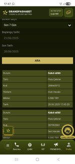 Screenshot_20250628_174732_Samsung Internet.jpg