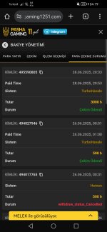 Screenshot_20250629_041956_com.android.chrome.jpg