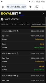 Screenshot_20250629-045339.png