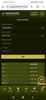Screenshot_2025-06-29-16-28-36-068_com.android.chrome.jpg