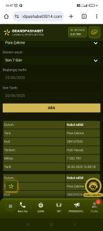 Screenshot_2025-06-30-16-47-05-939_com.android.chrome.jpg