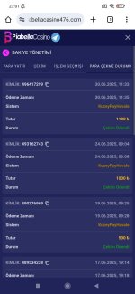 Screenshot_2025-06-30-23-01-40-796_com.android.chrome.jpg