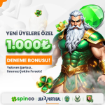 1751416459421.png