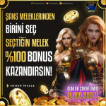 1751417500023.png