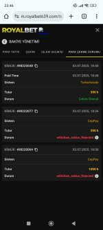 Screenshot_2025-07-04-23-46-01-365_com.android.chrome.jpg