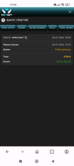 Screenshot_2025-07-05-19-34-13-356_com.opera.browser.jpg