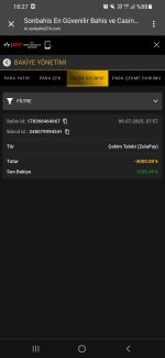 Screenshot_20250706-182711_Chrome.jpg