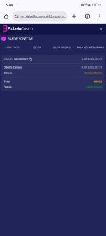 Screenshot_2025-07-10-03-44-24-603_com.android.chrome.jpg