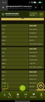 Screenshot_20250711-021202.jpg