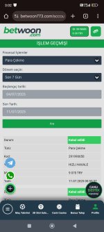 Screenshot_2025-07-11-03-02-54-227_com.android.chrome.jpg