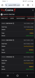 Screenshot_20250711-184455.png