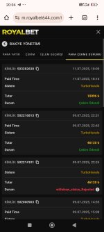 Screenshot_2025-07-11-20-04-51-058_com.android.chrome.jpg