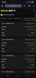 Screenshot_20250712_053607_Chrome.jpg
