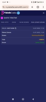 Screenshot_2025-07-12-13-47-44-487_com.android.chrome.jpg