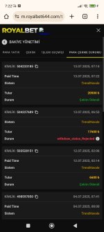 Screenshot_2025-07-13-07-22-32-824_com.android.chrome.jpg