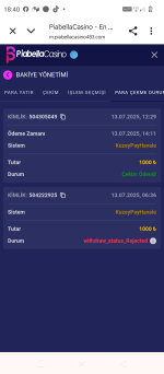 Screenshot_20250713-184035.png