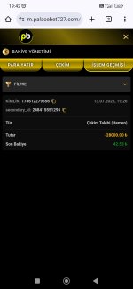 Screenshot_2025-07-13-19-42-05-370_com.android.chrome.jpg