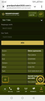 Screenshot_20250715-034420.png