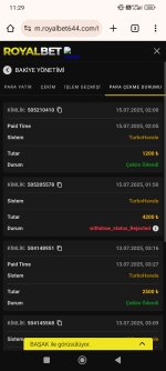 Screenshot_2025-07-15-11-29-22-828_com.android.chrome.jpg
