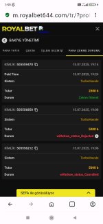 Screenshot_2025-07-16-01-59-59-519_com.opera.browser.jpg