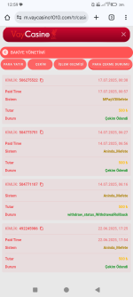 Screenshot_20250717-005914.png