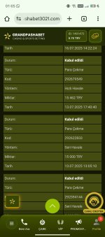Screenshot_20250717-010517.jpg