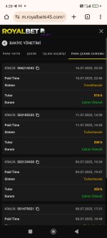 Screenshot_2025-07-17-04-28-13-834_com.android.chrome.jpg