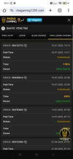 Screenshot_2025-07-17-10-11-05-210_com.android.chrome.jpg