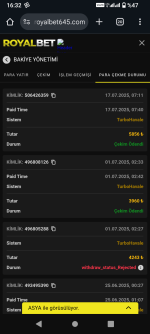 Screenshot_20250717-163244.png