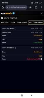 Screenshot_2025-07-17-18-46-19-765_com.android.chrome.jpg
