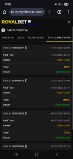 Screenshot_20250717_195046_Chrome.jpg
