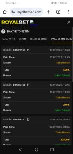 Screenshot_20250718_023716_com.android.chrome.jpg