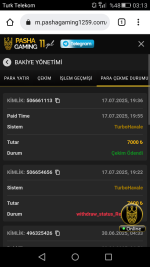 Screenshot_2025-07-18-03-13-53.png