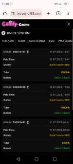 Screenshot_20250718-113051.png