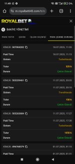 Screenshot_2025-07-18-11-49-52-303_com.android.chrome.jpg