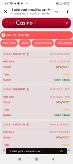 Screenshot_2025-07-18-18-17-52-016_org.telegram.messenger.jpg
