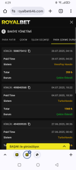 Screenshot_20250720-042900.png