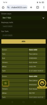Screenshot_2025-07-21-16-17-00-66.jpg