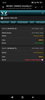 Screenshot_2025-07-22-16-51-58-801_org.telegram.messenger.jpg