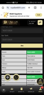 Screenshot_20250725_035923_com.android.chrome.jpg