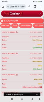 Screenshot_2025-07-25-17-44-17-080_com.android.chrome.jpg