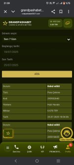 Screenshot_20250725_215934.jpg
