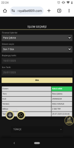 Screenshot_20250725-222418.png