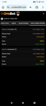 Screenshot_20250727-130832.png